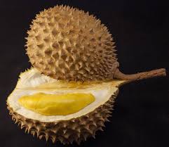 Durian fruit