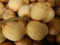 Langsat fruit